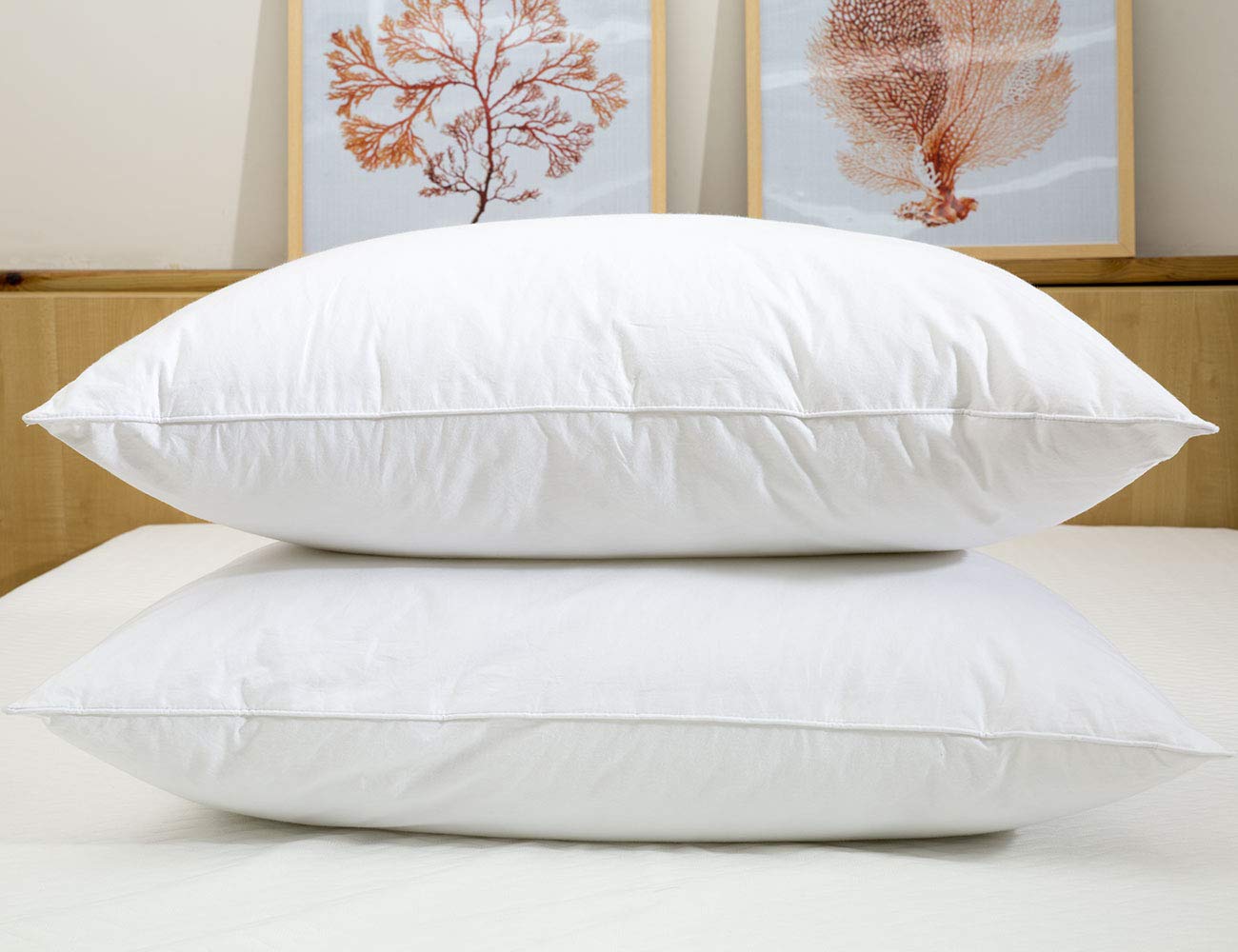 Standard(Pack of 2)-05.jpg